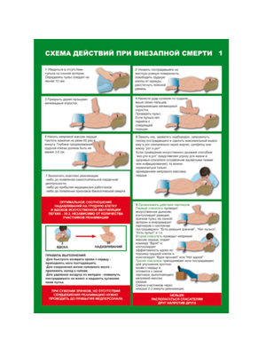 Плакат по первой помощи Первая помощь