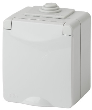 Розетка однофазная наружная (открытой установки) с заземлением без шторок серый 16А 250В IP65 винтовые клеммы 11-2601-03 Эра Эксперт (ЭРА) Б0035988