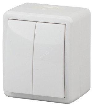 Выключатель двухклавишный наружный (открытой установки) IP54 белый 10А 250В винтовые зажимы ЭРА Эксперт 11-1404-01 (ЭРА) Б0020675