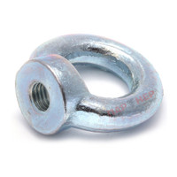 Рым-гайка М10 DIN582 оцинкованная сталь (Партнер) 18716