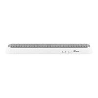 Светильник аварийный светодиодный LEDх90 5ч постоянный IP20 (FERON) EL17 12898