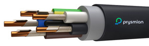 Кабель силовой ВВГнг(А)-FRLS 5х10-1 (РЭК/Prysmian)
