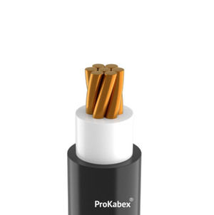 Кабель силовой ВВГнг(А)-LS 1х120 мк-1 ТРТС (Кабэкс)