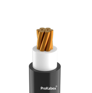 Кабель силовой ППГнг(А)-HF 1х120мк-1 ТРТС (Кабэкс)