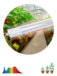 Фитолампа светодиодная линейная FITO-24W-Ra90-N полного спектра 24 Вт (ЭРА) Б0061422