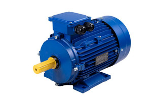 Электродвигатель трехфазный АИР 100L6 2,2 кВт 1000 об/мин IM1081 380В IP55 У2 (MICROPROVOD) 00-00032214