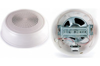 Громкоговоритель настенный (Roxton) WP-10T