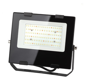 Прожектор светодиодный для цветения и плодоношения FITO-50W-Ra90-LED (10/300) (ЭРА) Б0047875