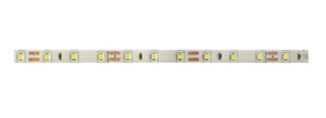 Лента светодиодная PLS PRO 2835/120-24V - 6000K IP20 5m Jazzway (JazzWay) 5015715