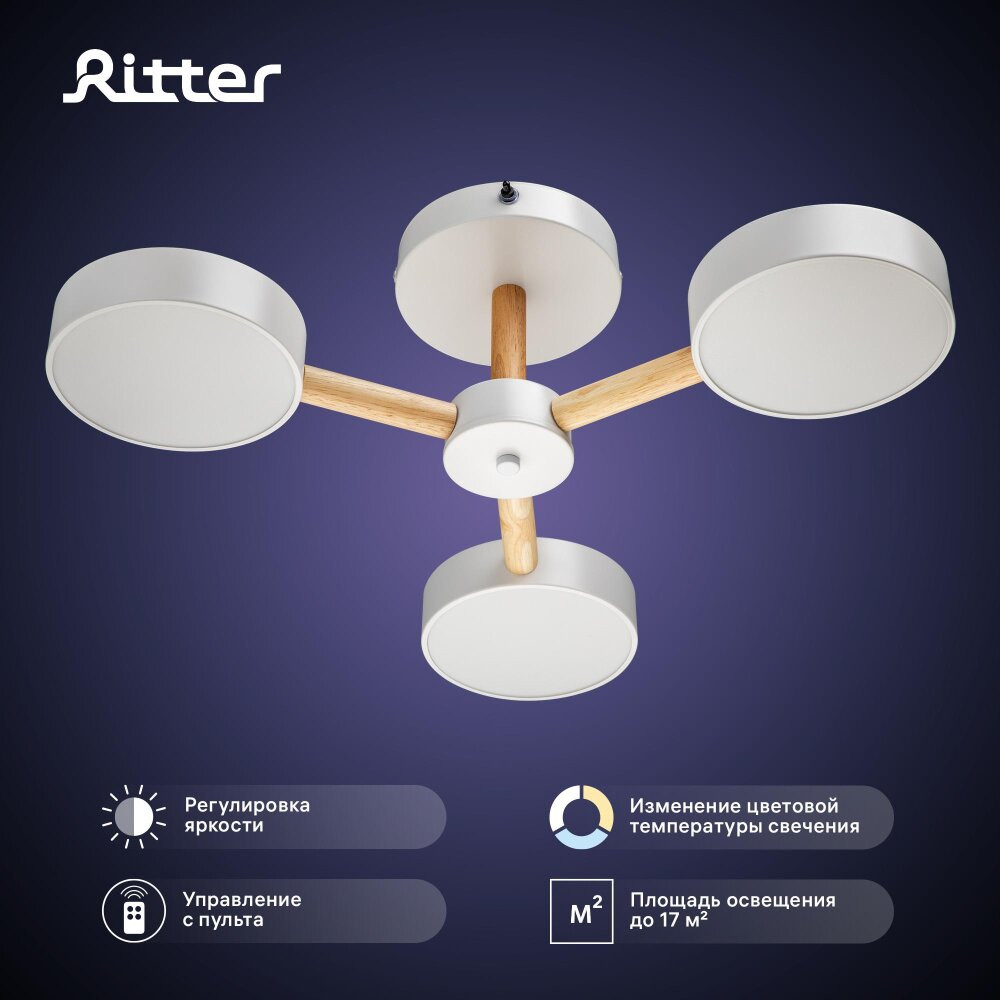Люстра потолочная светодиодная диммируемая, SCANDIA, с ДУ, 3 режима, 520х520х170мм, 45Вт, 2700К/4200К/6400К, 17м, белый/дерево (RITTER) 51589 4