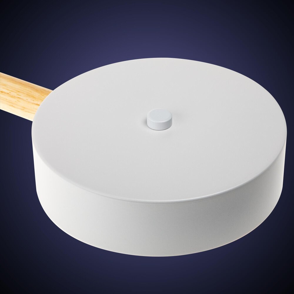 Люстра потолочная светодиодная диммируемая, SCANDIA, с ДУ, 3 режима, 520х520х170мм, 45Вт, 2700К/4200К/6400К, 17м, белый/дерево (RITTER) 51589 4