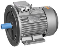 Электродвигатель однофазный АИР2Е 71C4 220В 0,75кВт 1500об/мин 2081 (ONI) ONP071-C4-000-8-1520