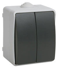ФОРС Выключатель двухклавишный наружный IP54 (IEK) EVS20-K03-10-54-DC