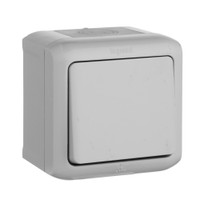 Quteo Переключатель одноклавишный наружный IP44 серый 10А (Legrand/Daccord) 782334