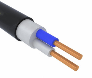 Кабель силовой ППГнг(А) -HF 2х2,5 ок(N)-0,66 (Угличкабель)