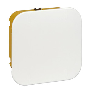 Коробка распределительная для полых стен 100x100x50 DIY (Systeme Electric) IMT351611