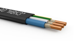 Кабель силовой ППГ-Пнг(А)-HF 3х2.5 ок (N.PE)-0.66 ТРТС (Ивановский кабельный завод)