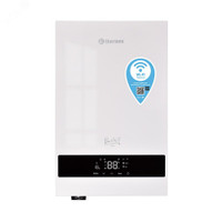 Котел электрический Boss 12 Wi-Fi (White) настенный (Thermex) 511704