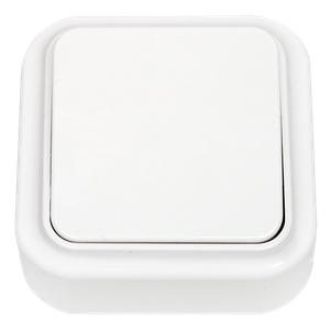 Выключатель одноклавишный наружный Пралеска (БелТИЗ) А16-131