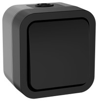 Переключатель одноклавишный TORS 10А IP55 графит (IEK) TS-V10-0-10-55-K53