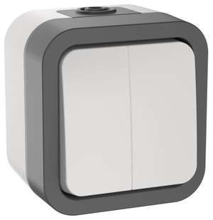 Выключатель двухклавишный TORS 10А IP55 белый (IEK) TS-V20-0-10-55-K41
