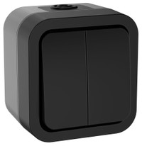 Выключатель двухклавишный TORS 10А IP55 графит (IEK) TS-V20-0-10-55-K53