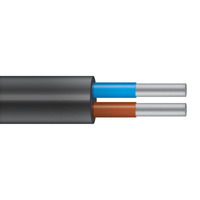 Кабель силовой АВВГ-П 2х2.5ок-0.66 ТРТС (Металлист)