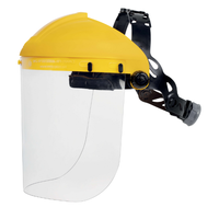 Щиток защитный BALBI2: крепление VISOR-H и щиток VISORPC (Delta Plus) BALB2IN