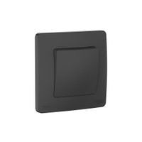 BLANCA С/У IP44 1-клавишный ПЕРЕКЛЮЧАТЕЛЬ (сх.6), 10AX, 250В, АНТРАЦИТ (Systeme Electric) BLNVS410606