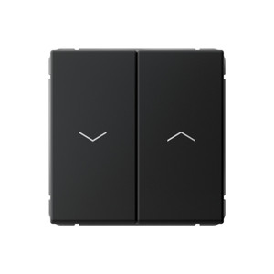 ARTGALLERY 2-клавишный ВЫКЛЮЧАТЕЛЬ ДЛЯ ЖАЛЮЗИ, 2х сх.4, 10А, механизм, быстрозажимные клеммы, КАРБОН (Systeme Electric) GAL001019S