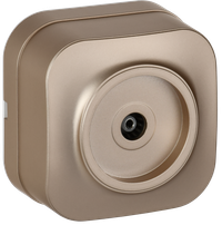 GLORY Розетка для открытой установки TV РТВ20-ХШм шампань матовый IEK (IEK) EAH10-K37M