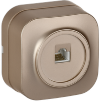 GLORY Розетка для открытой установки компьютерная RJ45 кат.5E РК10-ХШм шампань матовый IEK (IEK) EKH10-K37M