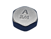 Заглушка ВР 3/4' никелированная (Aquadeel) BFN-003-205