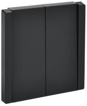 FORTE&PIANO Выключатель 2-клавишный 10А FP105 черный IEK (IEK) FP-V20-0-10-1-K02