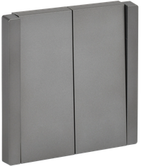 FORTE&PIANO Выключатель 2-клавишный 10А FP505 сталь IEK (IEK) FP-V20-0-10-1-K46