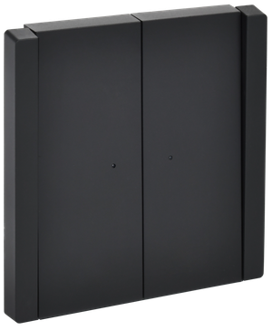 FORTE&PIANO Выключатель 2-клавишный проходной с индикацией 10А FP108 черный IEK (IEK) FP-V22-1-10-1-K02