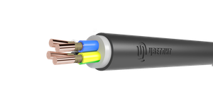 Кабель силовой ВВГнг(А)-FRLS 4х6ок(N)-0.66 ТРТС (Цветлит КЗ)