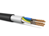 Кабель силовой ППГнг(А)-FRHF 5х25мк(N.PE)-1 ТРТС (Энергокабель)