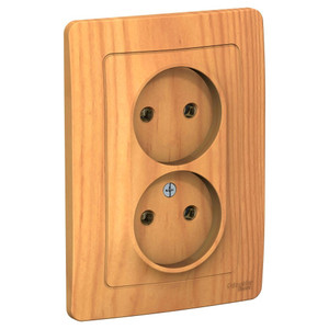 BLANCA скрытой установки розетка двойная без заземления без шторок, 16А, 250В, ясень (Systeme Electric) BLNRS000025