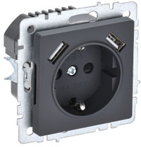 BRITE Розетка 1 пост с заземлением с защитными шторками 16А с USB A+A 5В 3,1А РЮш10-2-БрГ графит (IEK) BR-R14-16-U21-D31-K53
