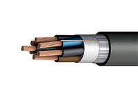 Кабель силовой КГВВЭнг(А)-LS 10х0.75 ТРТС (Белкаб)