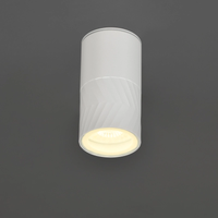 LIGHTING Светильник уличный 5110 потолочный под лампу GU10 IP65 белый IEK (IEK) LT-UPU0-5110-GU10-1-K01