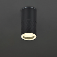 LIGHTING Светильник уличный 5110 потолочный под лампу GU10 IP65 черный IEK (IEK) LT-UPU0-5110-GU10-1-K02