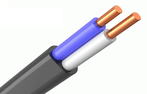 Кабель силовой ВВГ-Пнг(А)-LSLTx 2х1.5 ТРТС (100м) (Радиус)