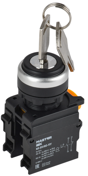 Переключатель с ключом 2 полож. 1NO+1NC чёрный MASTER (IEK) MI-SW60-11Y-3-34-2-K02