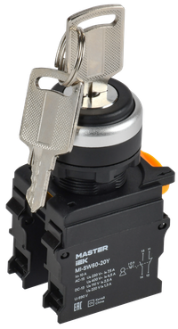 Переключатель с ключом на 3 положения 2NO чёрный MASTER (IEK) MI-SW60-20Y-3-34-3-K02