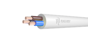 Провод ПВСнг(А)-LS 3х2,5  ТРТС (Цветлит КЗ)