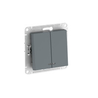 ATLASDESIGN 2-клавишный ВЫКЛЮЧАТЕЛЬ с подсветкой ,сх.5а, 10АХ, быстрозажимные клеммы, ГРИФЕЛЬ (Systeme Electric) ATN000753S