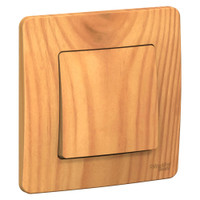 BLANCA скрытой установки одноклавишный выключатель (cх.1), 10A, 250B, ясень (Systeme Electric) BLNVS010105