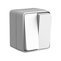AtlasDesign PROFI IP54 открытой установки 2-клавишный выключатель 10 АХ, серый (Systeme Electric) ATN543051